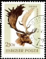 (1966-062) Марка Венгрия "Лань"    Охота III Θ