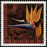 (1968-019) Марка Польша "Стрелитция королевская"   Выставка цветов III Θ