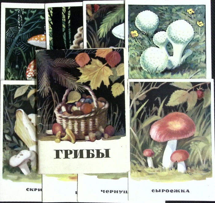 Набор открыток &quot;Грибы&quot;, 16 шт., 1971г.