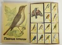 Набор спичечных коробков "Певчие птицы", 25 шт (со спичками), СССР