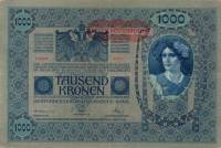 (1919) Банкнота Австро-Венгрия 1919 год 1 000 крон "Горизонт надпечатка на боне 1902 года"   XF
