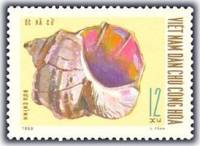(1970-018) Марка Вьетнам "Турбо"   Морские раковины III Θ
