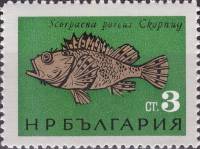 (1965-036) Марка Болгария "Скорпена (морской ёрш)"   Рыбы Чёрного моря I Θ