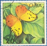 (1982-013) Марка Куба "Фебис авелланеда"    Бабочки II Θ