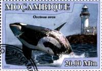 (№2007-3051) Марка Мозамбик 2007 год "Orcinus косатка", Гашеная