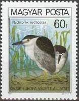 (1980-052) Марка Венгрия "Обыкновенная кваква"    Европейская природоохранная кампания "Защита жизни
