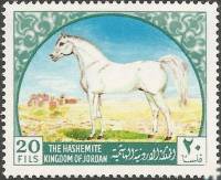 (№1969-699) Марка Иордания 1969 год "Арабская лошадь equus ферусом caballus", Гашеная