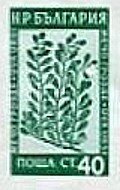 (1953-049) Марка из блока Болгария "Толокнянка"   Лекарственные растения Болгарии (2) III Θ