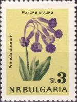 (1963-050) Марка Болгария "Примула божественная"   Цветы III Θ