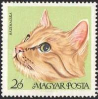 (1968-009) Марка Венгрия "Европейская кошка"    Домашние кошки II Θ