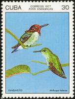 (1977-013) Марка Куба "Колибри"    Птицы III Θ