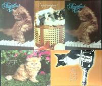 Набор поздравительных открыток "Кошки", 5 шт., 14*10,5 см., СССР