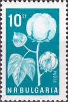 (1965-017) Марка Болгария "Хлопчатник"   Стандартный выпуск. Сельскохозяйственные культуры I Θ