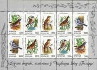 (1998-) Малый лист марок (8 шт 4х2) Беларусь "Птицы Беларуси Мино 26266"  ☉☉ - марка гашеная в идеал