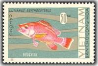 (1967-025) Марка Вьетнам "Красноперый луциан"   Рыбы II Θ
