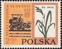 (1963-004) Марка Польша "Комбайн и рис"   Борьба с голодом III Θ