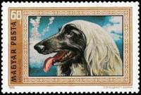 (1972-014) Марка Венгрия "Афганская борзая " ,  III O