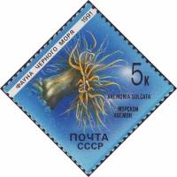 (1991-002) Марка СССР "Морской анемон"   Фауна Чёрного моря III Θ