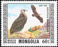 (1976-028) Марка Монголия "Чёрный гриф"    Охраняемые виды хищных птиц III Θ