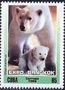 (№4541) Марка Куба 2003 год &quot;Полярный Медведь-ursus тагштиз&quot;, Негашеная