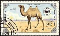 (1985-027) Марка Монголия "Бактриан"    Двугорбый верблюд III Θ