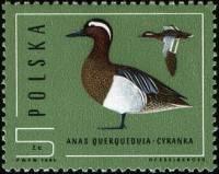 (1985-040) Марка Польша "Чирок-трескунок"    Охрана природы. Дикие утки III Θ