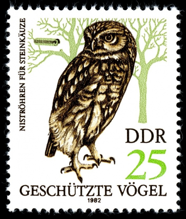 (1982-043) Марка Германия (ГДР) &quot;Домовый сыч&quot;    Охраняемые птицы II Θ