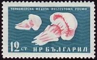 (1961-049) Марка Болгария "Медуза черноморская"   Фауна Чёрного моря III Θ