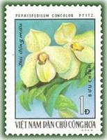 (1976-032) Марка Вьетнам "Папиопедилум конколор"   Орхидеи III Θ