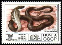 1977-103 Марка СССР Кобра среднеазиатская  Фауна III Θ