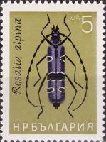 (1964-030) Марка Болгария "Усач альпийский"   Насекомые I Θ