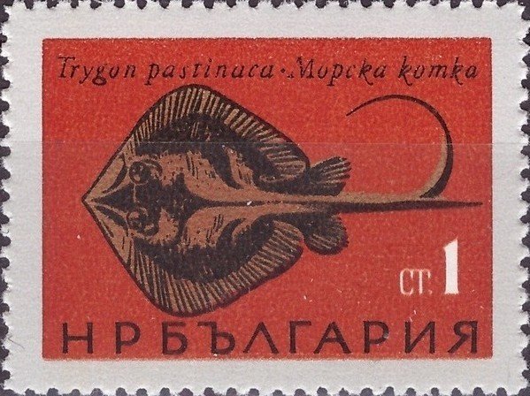 (1965-034) Марка Болгария "Скат хвостокол"   Рыбы Чёрного моря II &Theta;