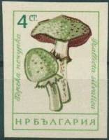 (1961-080) Марка Болгария "Шампиньон лесной"   Грибы (2) III O