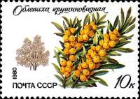 1980-092  Марка СССР Крушиновидная облепиха    Охраняемые породы деревьев и кустарников III Θ
