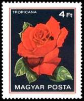 (1982-022) Марка Венгрия "Тропикана"    Розы III Θ