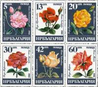 (1985-059a) Сцепка (6 м) Болгария "Розы"   Розы III Θ