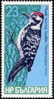 (1978-062) Марка Болгария "Малый пёстрый дятел"   Дятлы II O