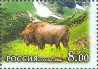 2006-084 Марка Россия Зубр  Западный Кавказ III O