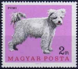 (1967-038) Марка Венгрия "Пуми"    Собаки III O
