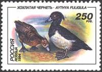(1994-032) Марка Россия "Хохлатая чернеть"   Утки III O