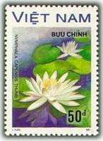 (1988-035) Марка Вьетнам "Белая водяная лилия"    Водяные цветы III Θ