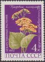 1972-019 Марка СССР Крестовник плосколистный   Лекарственные растения II O