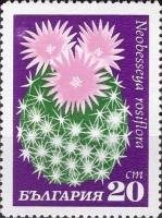 (1970-027) Марка Болгария "Необессия розоцветная"   Кактусы II Θ