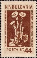 (1954-005) Марка Болгария "Мать-и-мачеха (23.03)"   Лекарственные растения Болгарии (3) II Θ