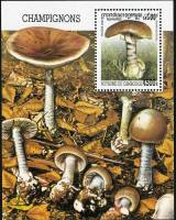(№2000-268) Блок марок Камбоджа 2000 год "Фаллоиды, Аманита", Гашеный