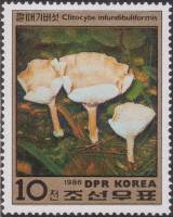 (1986-084) Марка Северная Корея "Говорушка ворончатая"   Грибы III Θ