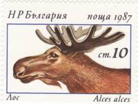 (1987-037) Марка Болгария "Лось"   Олени III Θ