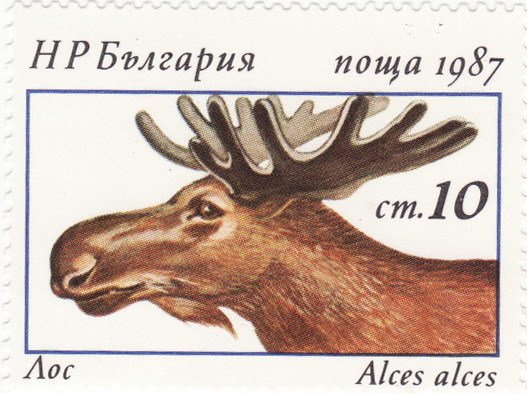 (1987-037) Марка Болгария &quot;Лось&quot;   Олени III Θ