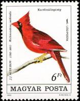 (1985-034) Марка Венгрия "Красный кардинал"    Птицы II Θ