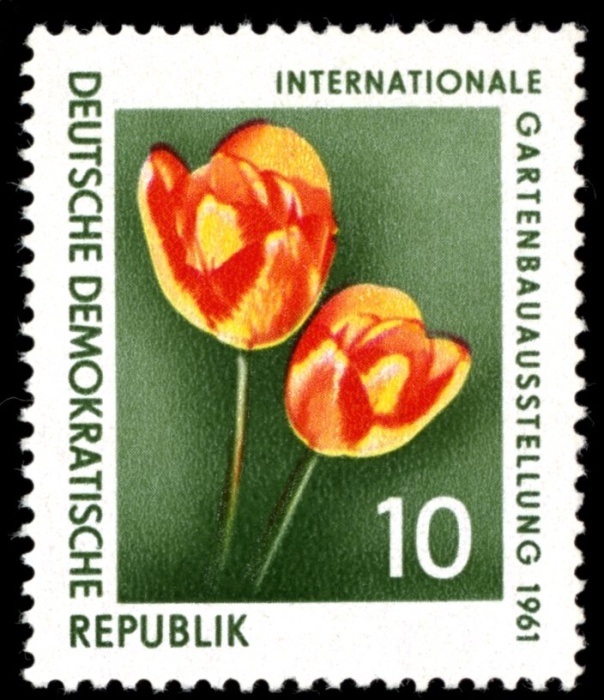(1961-048) Марка Германия (ГДР) "Тюльпаны"    Выставка цветов II &Theta;